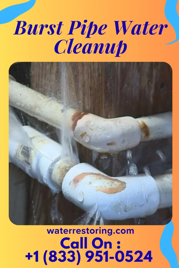 Burst Pipe Water Cleanup in Highland, IN