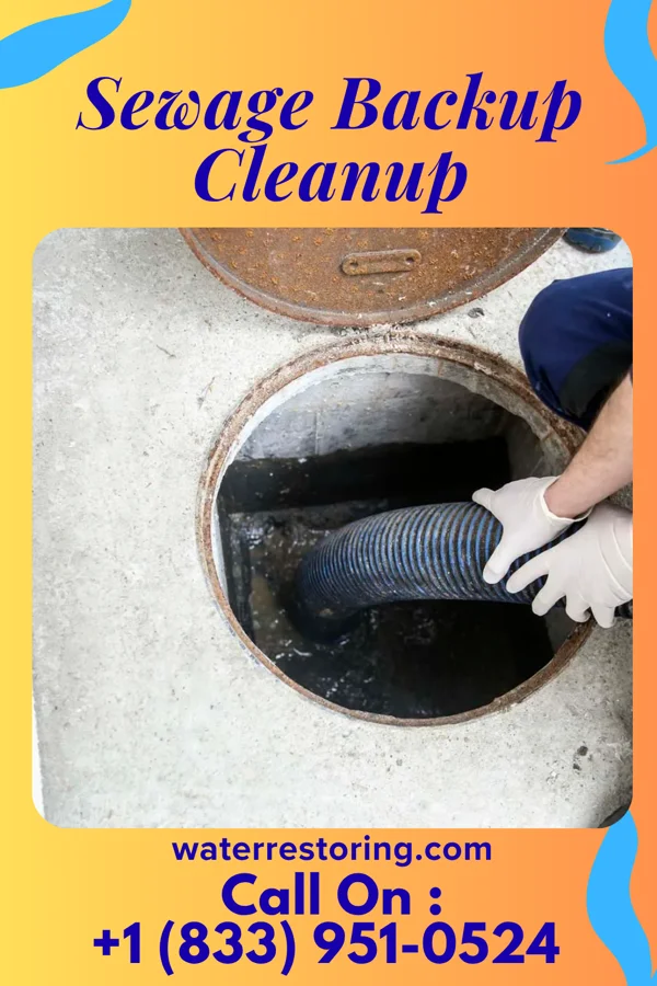 Sewage Backup Cleanup in Highland, IN
